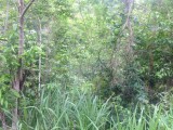Norbrook Heights, Kingston / St. Andrew, Jamaica - Residential lot for Sale